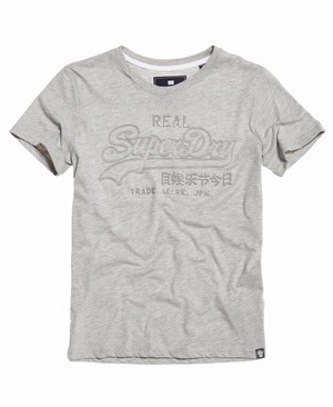 Superdry Vintage Logo Tonal Női Pólók Szürke | GXBJS2837